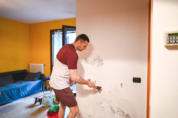 Best Attic Mold Removal  in Harvard, IL
